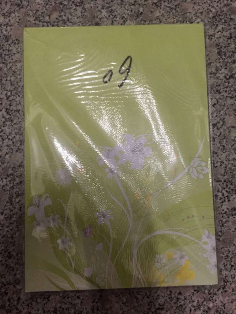 胜利 彩色封皮纸 240克白卡 100页/包 F-53